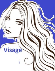 Logo van Visage