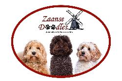 Logo van Zaansedoodles