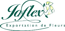 Logo van JOFLEX BV