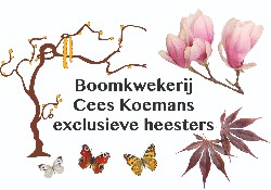 Logo van Boomkwekerij Cees Koemans