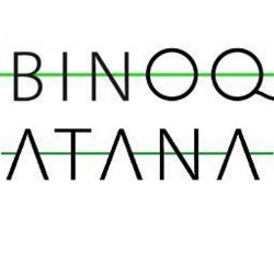 Logo van Binoq B.V.